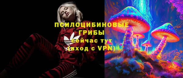 PSILOCYBIN Бугульма